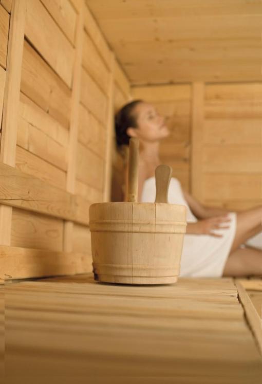 sauna a pierres chaudes